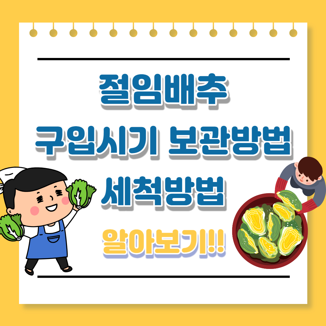 절임배추 구입시기 보관방법 세척방법 추천