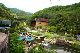 2024 화담숲 예약 가이드