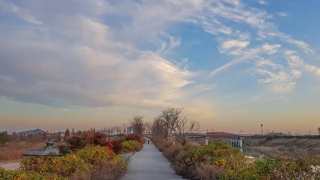 익산 가볼만한곳 베스트10 현지인 추천 필수코스_8