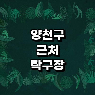 서울 양천구 탁구장