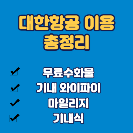 대한항공 이용