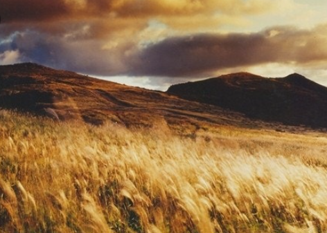 2025 영남알프스 신불산 코스 추천 ❘ 배내고개 종주&middot;홍류폭포&middot;주차&middot;단풍 절정 시기