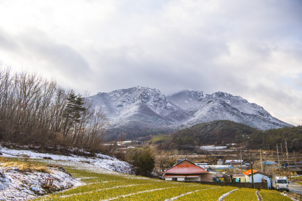 설날 새배돈 적정 금액