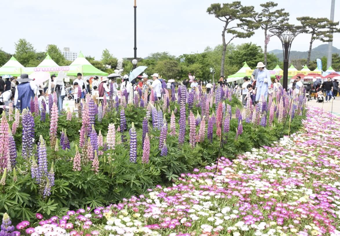 함평 나비축제 기간. 입장료. 초대가수