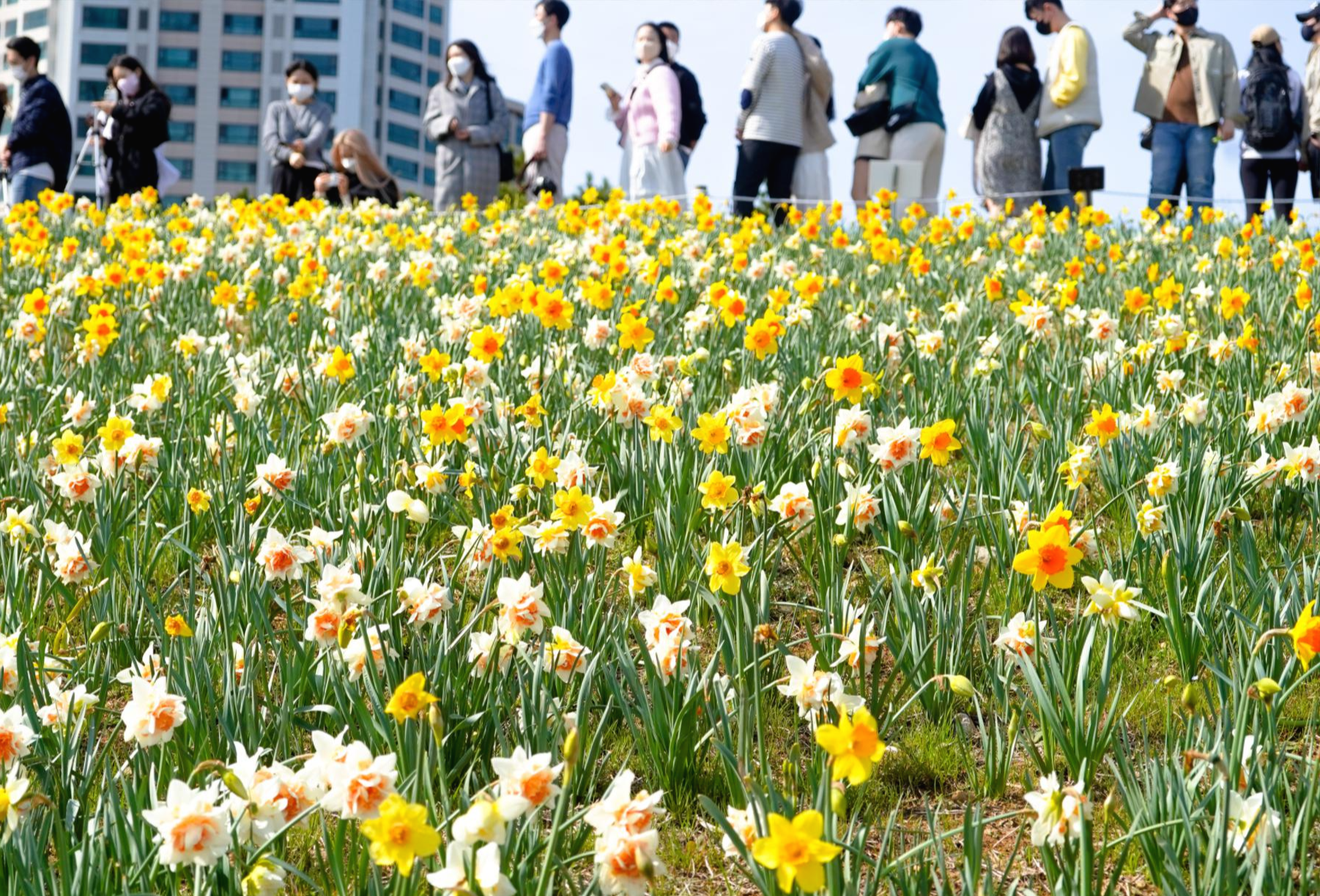 오륙도해맞이공원