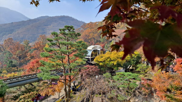 단풍명소_화담숲_모노레일