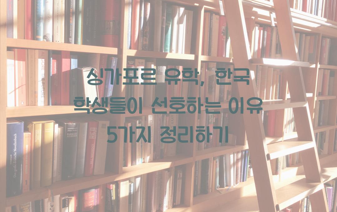싱가포르 유학, 한국 학생들이 선호하는 이유 5가지
