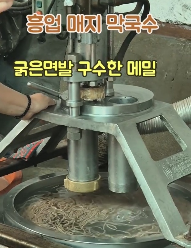 원주-흥업매지막국수-이미순