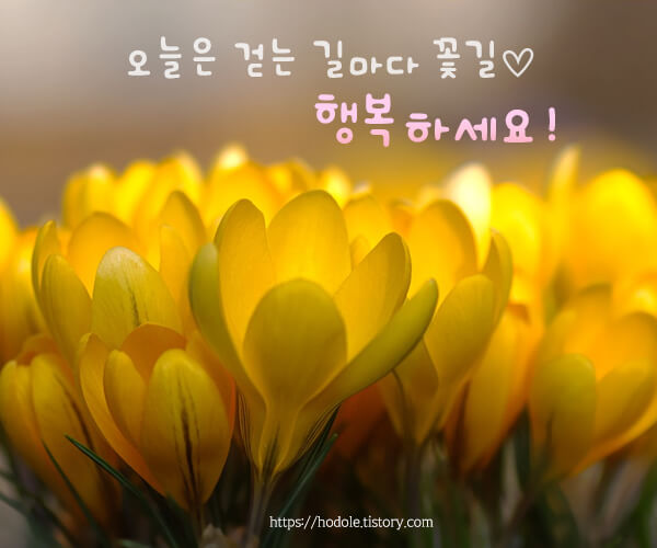 걷는길마다-꽃길