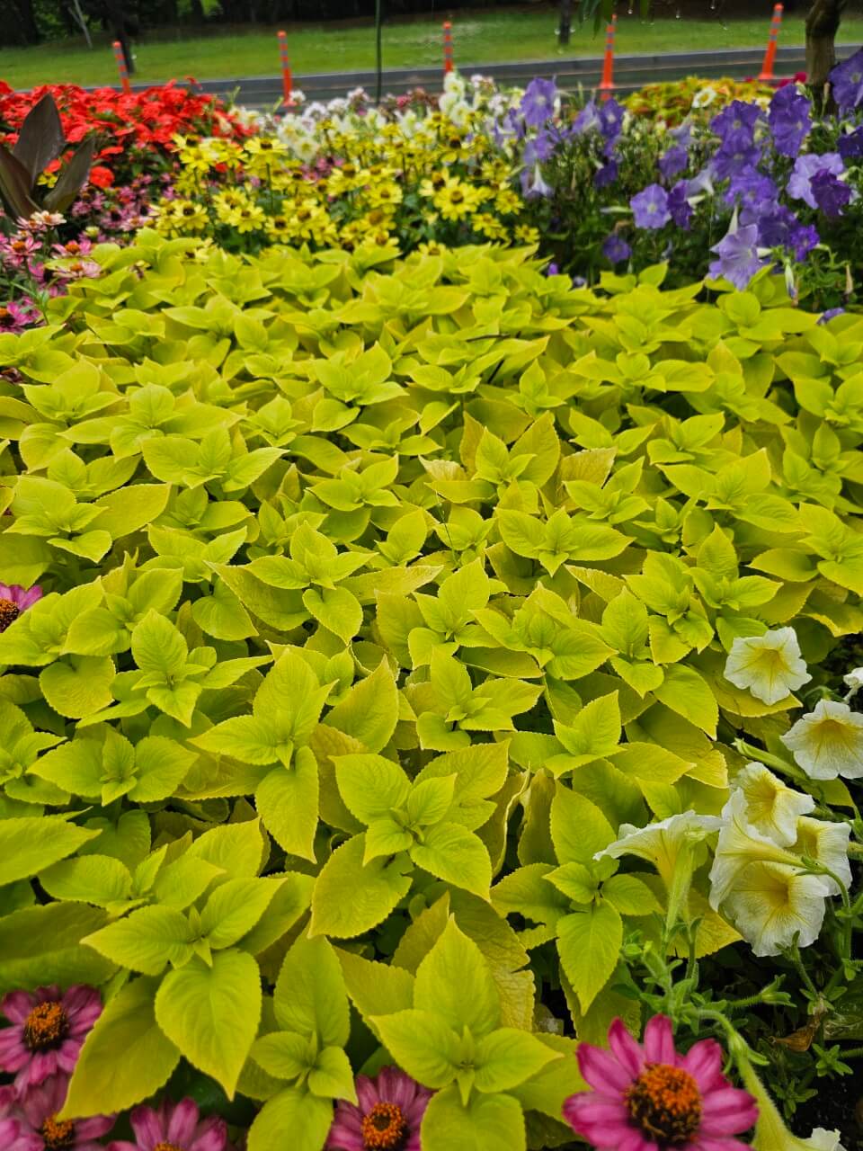 장애인 정책 변화, 선진국은 지금