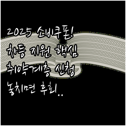 2025 소비쿠폰 지급액 신청 방법 ..