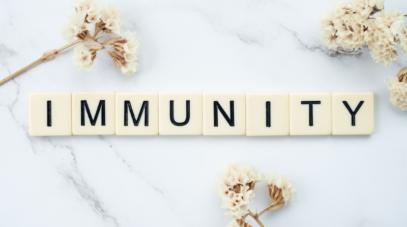 immunity 단어 타일 이미지 – 면역력 강화 의미의 영어 단어를 알파벳 블록으로 표현한 건강·면역 관리 콘셉트 사진