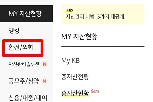 환전외화