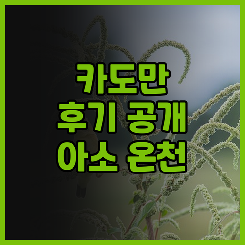 호텔 카도만 후기 아소 온천 여행의