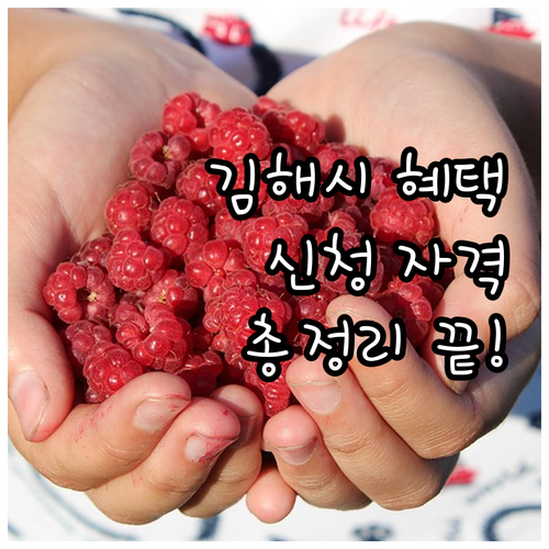 2025 김해시 심뇌혈관질환 예방관리..