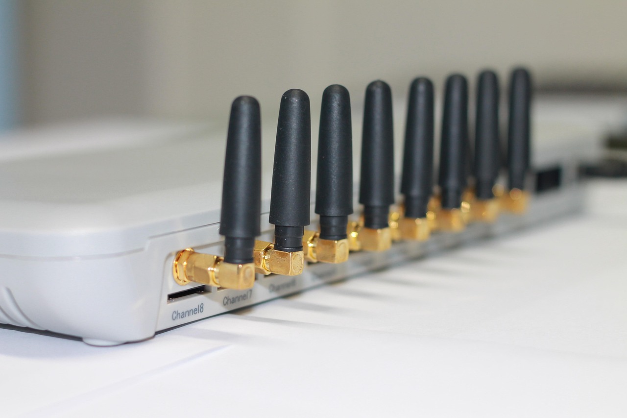 유심 보호 서비스