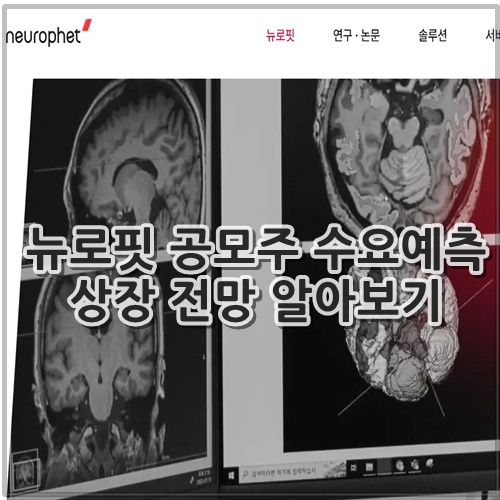 뉴로핏 공모주 수요예측 상장 전망 알아보기