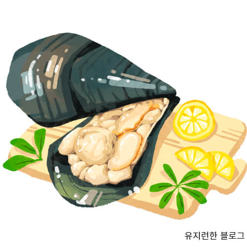 키조개