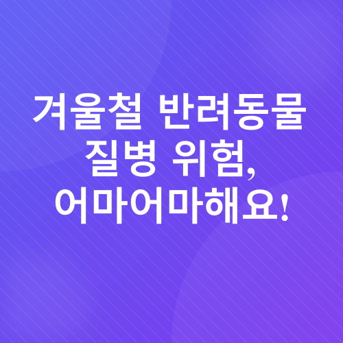반려동물 겨울 건강 관리_1