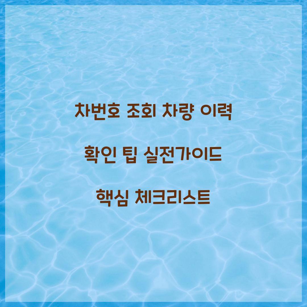 차번호 조회