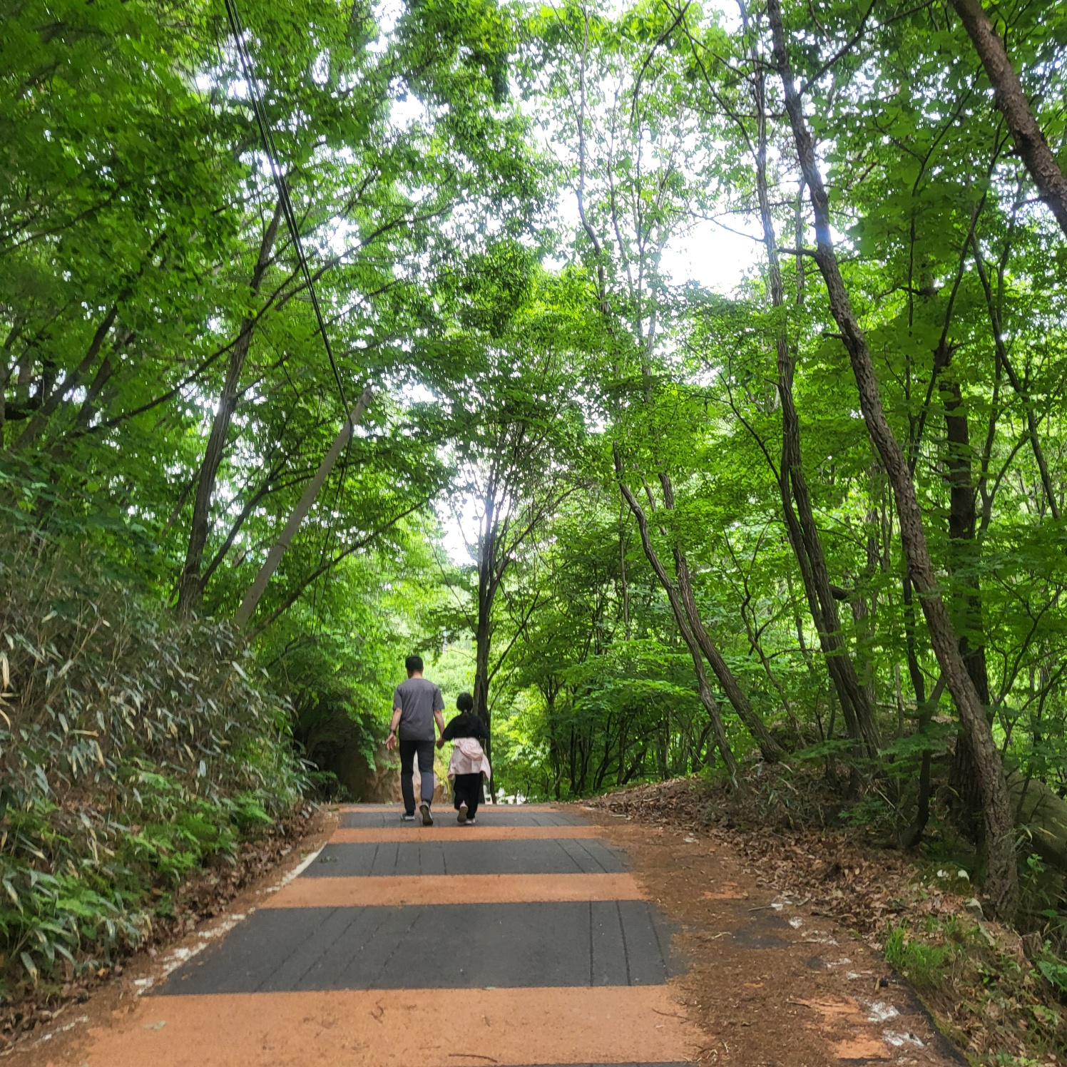 속리산 문장대(아이와 등산하기)
