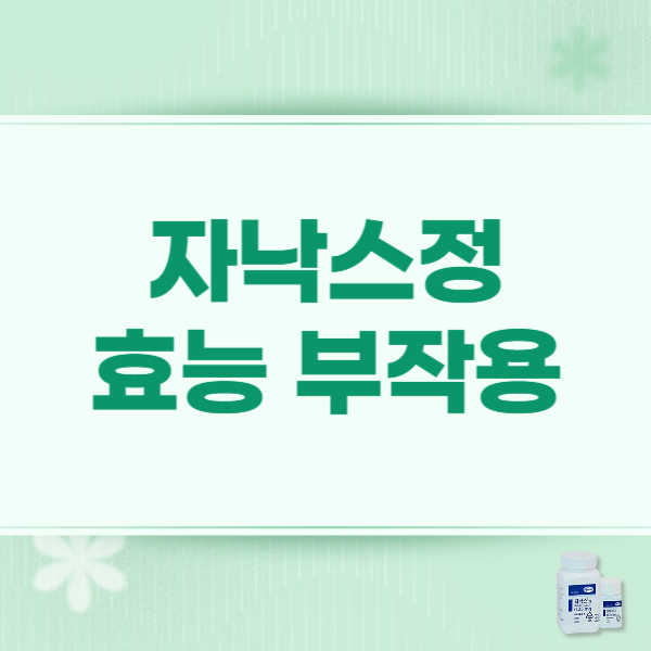 자낙스정 0.25mg 효능