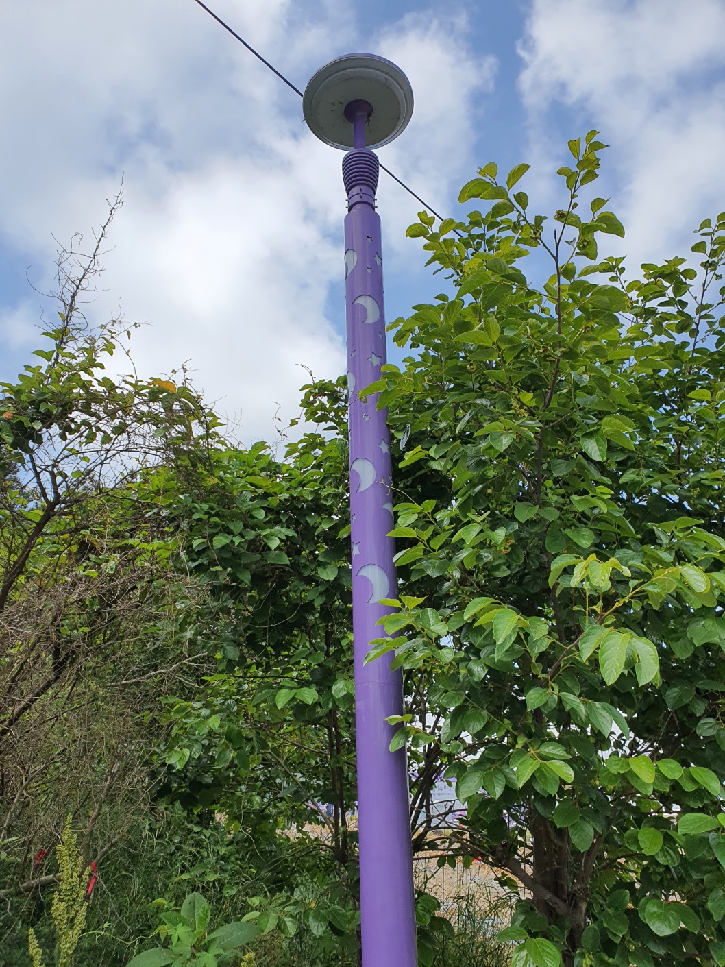 퍼플섬 반월도 박지도 여행