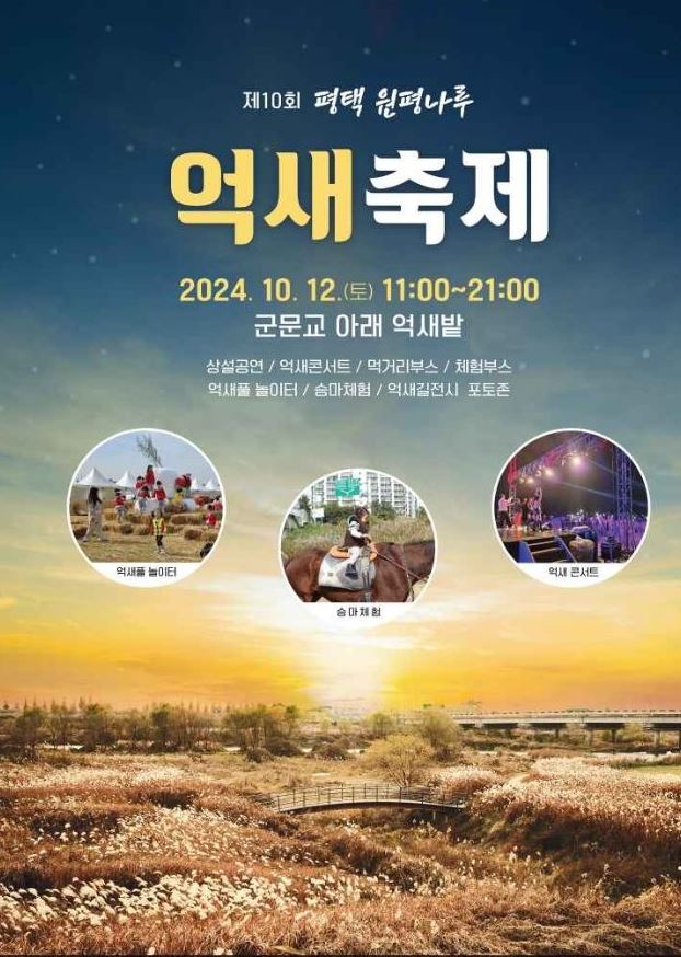 평택원평나루억새축제