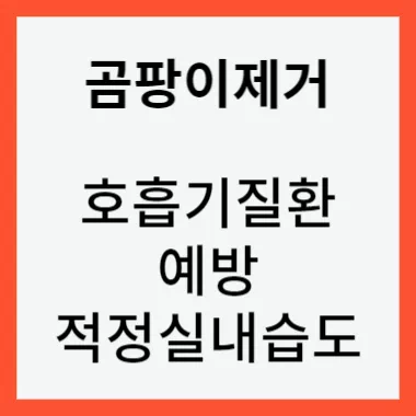 곰팡이제거 썸네일