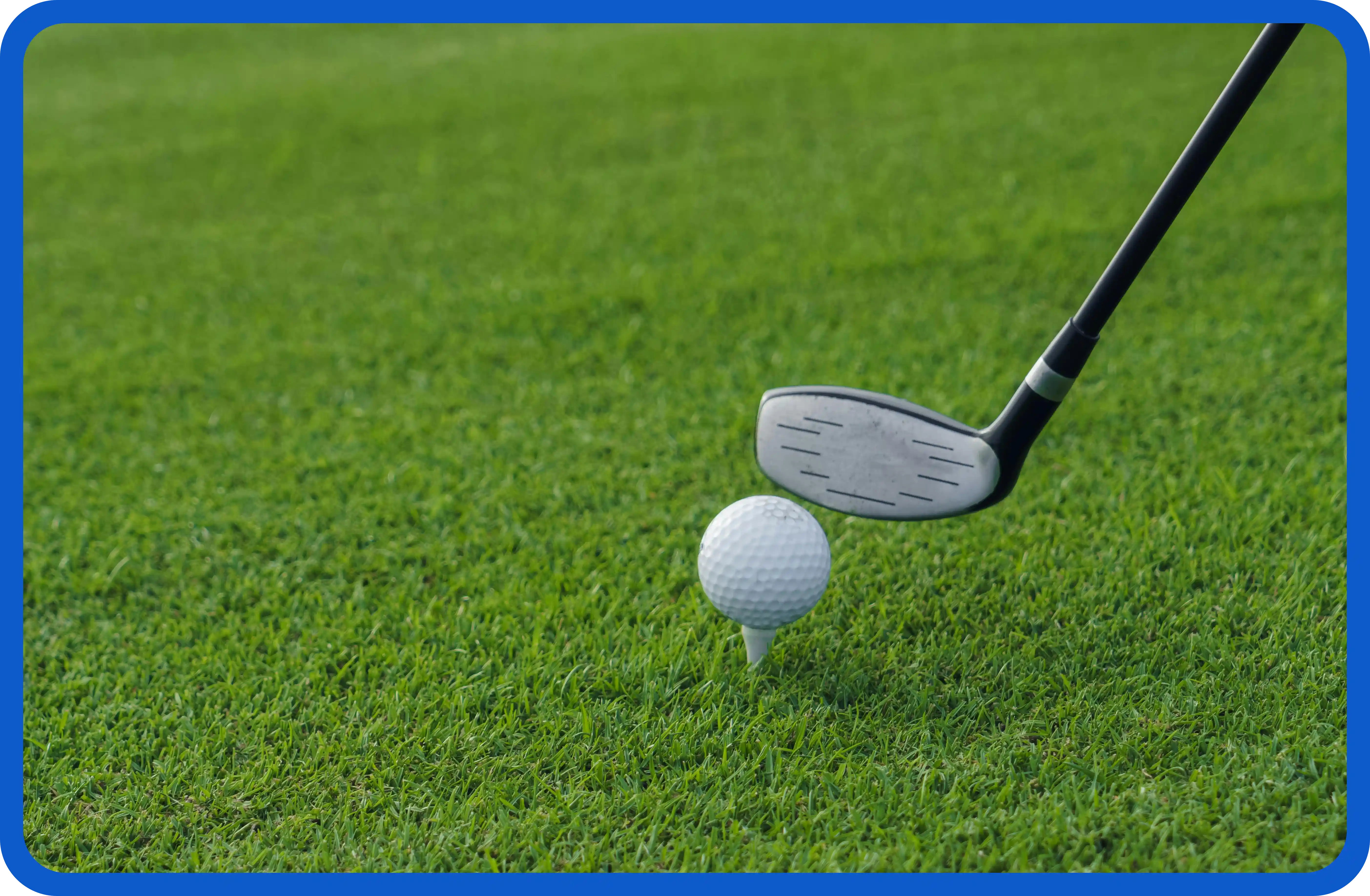 구장별 적용 사례 