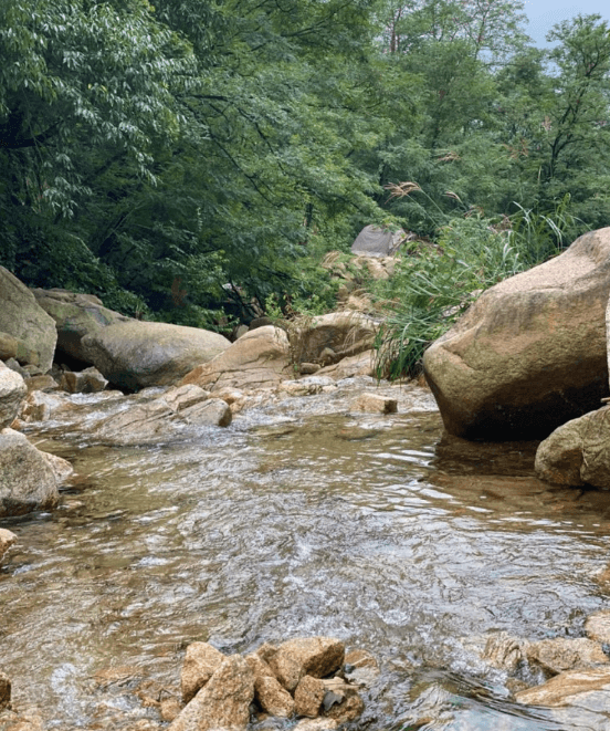 삼막사계곡