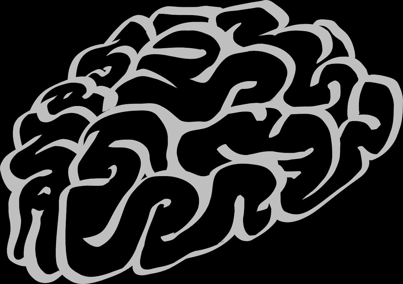 퍼즐, 스도쿠, 단어 찾기는 뇌를 자극하는 놀이의 과학