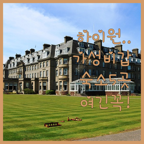 정선 하이원 리조트 근처 가성비 숙소..