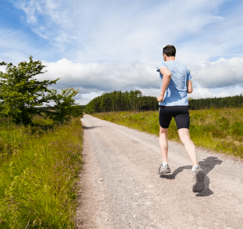 헬시 플레저 - 개요
