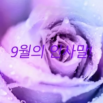 9월 인사말 모음 예시 문자_21