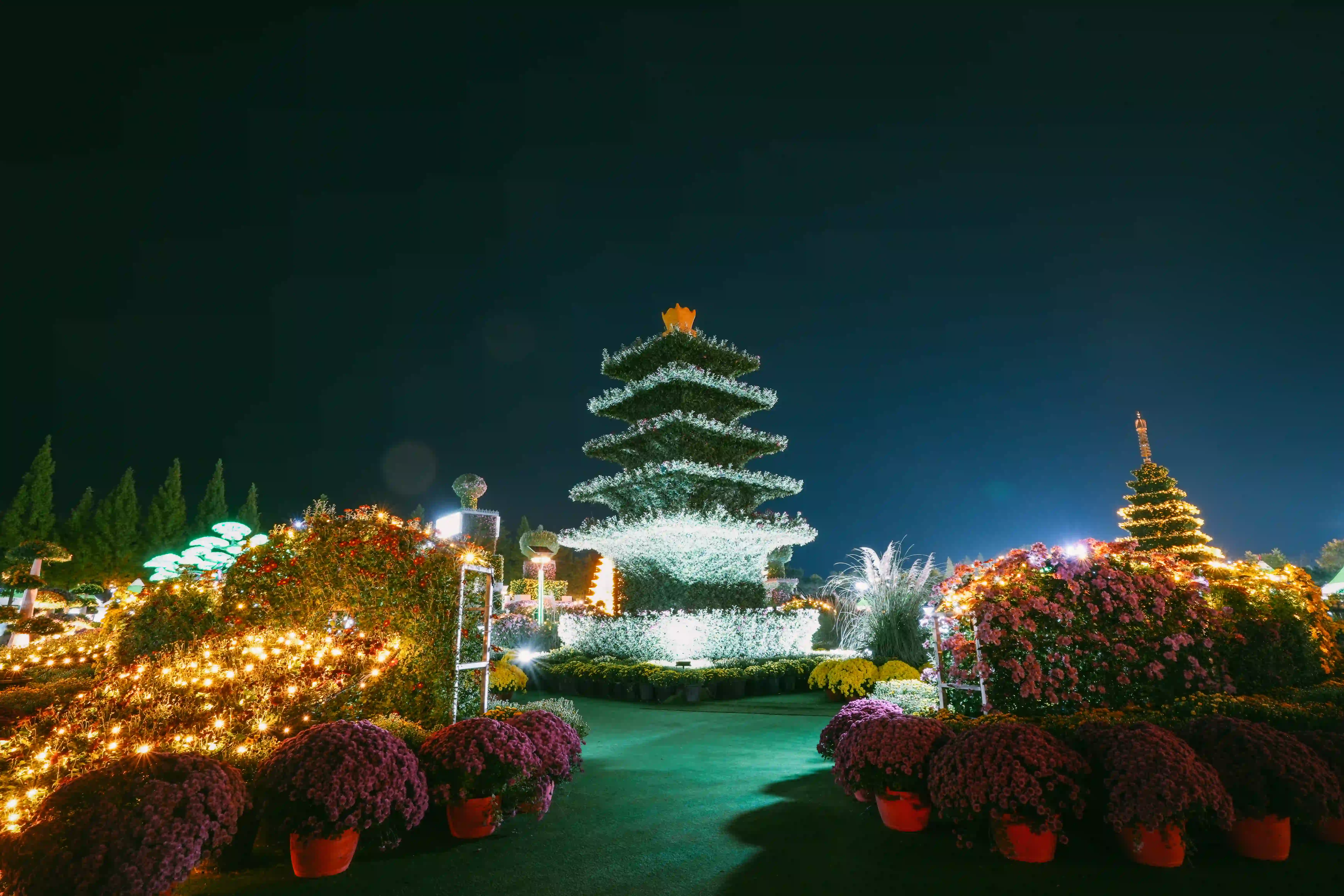 황홀한 야간 빛 조명