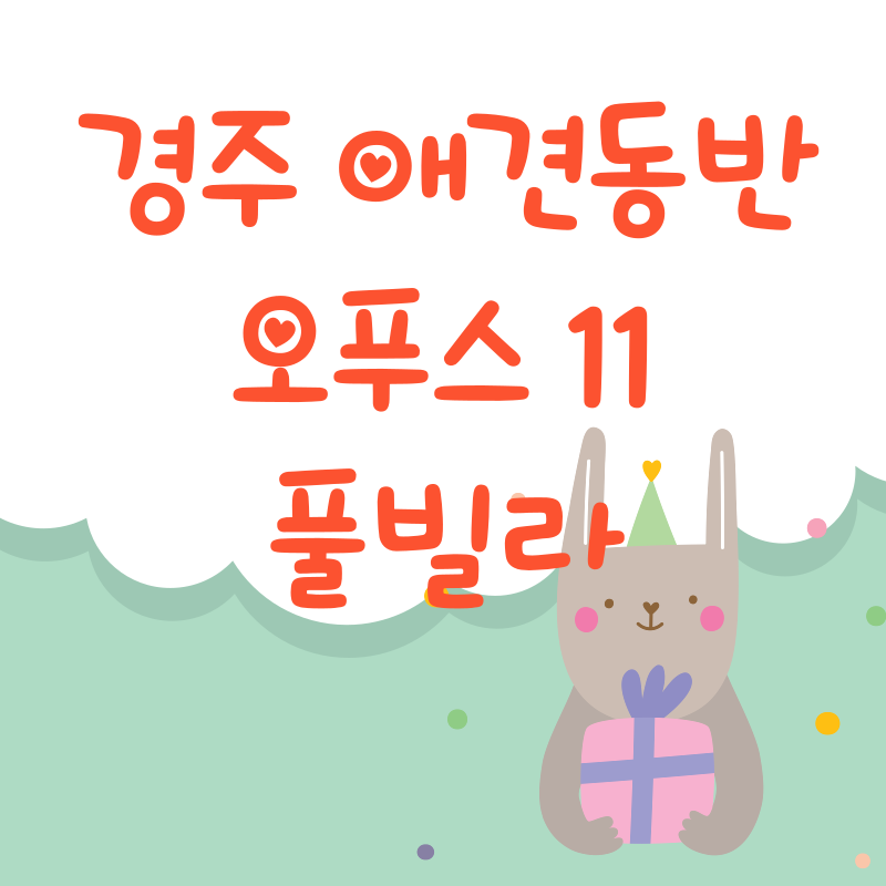 경주 애견동반 오푸스11풀빌라