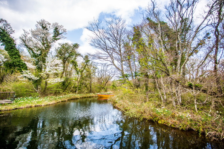 제주 에코랜드 테마파크