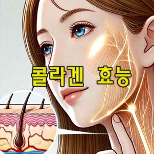 콜라겐의 효능