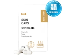 강아지 피부질환 완벽 가이드