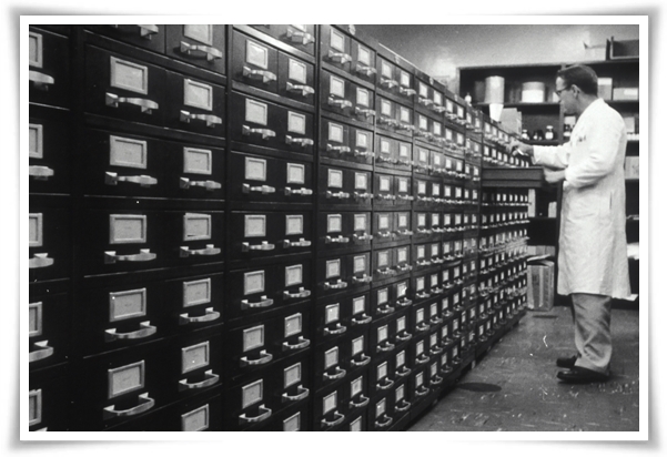 "8 체질 자가 진단" 나는 어떤 체질일까? 자신의 체질을 진단해 보세요!