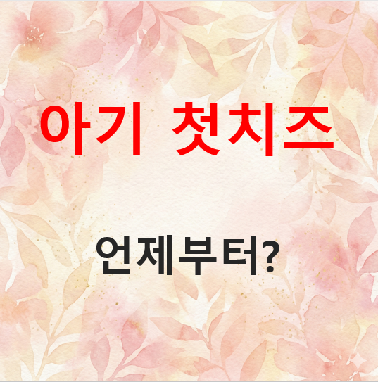 아기 첫 치즈, 언제부터 먹일까? 1단계 입문 가이드