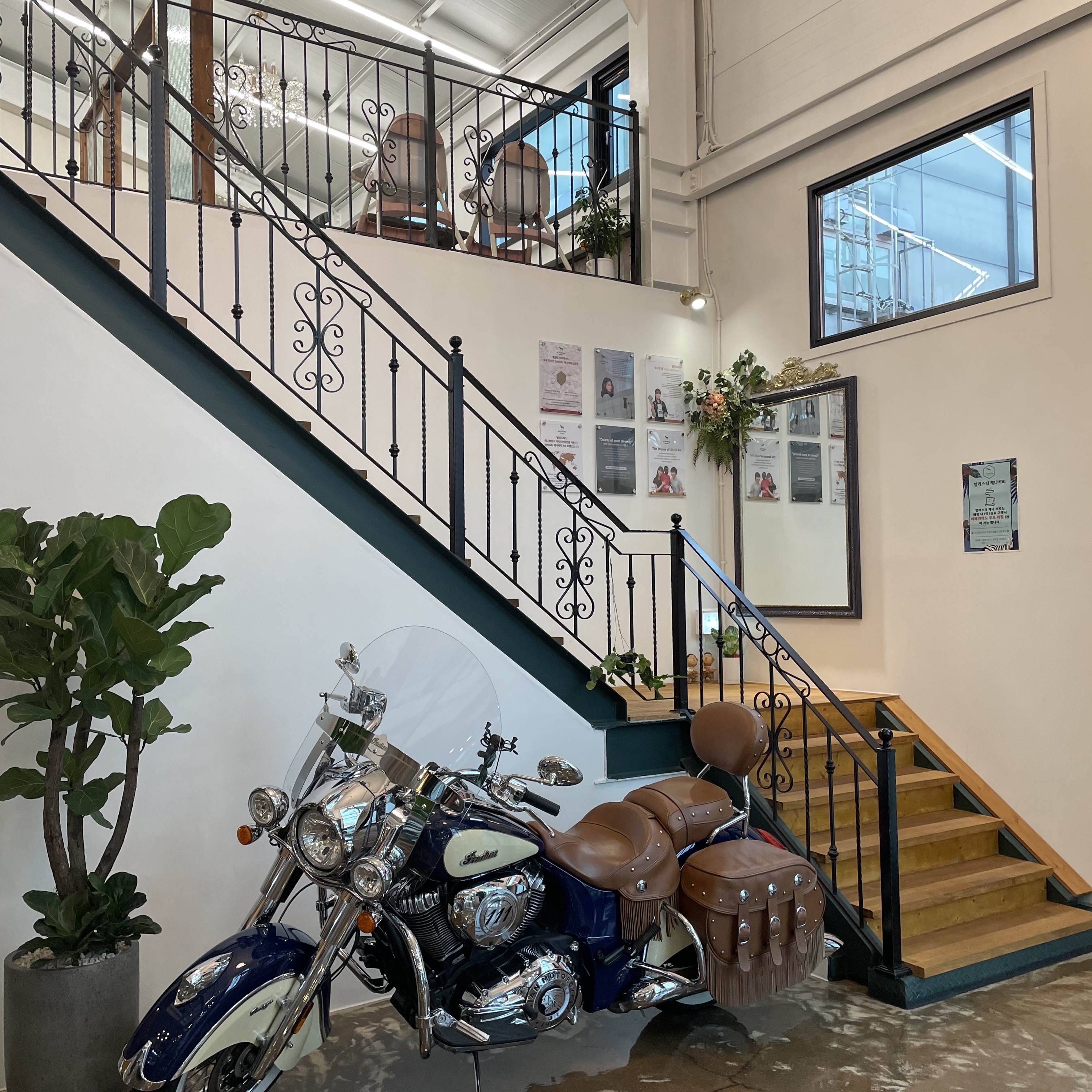 울산 알리스타 케냐커피 울주점