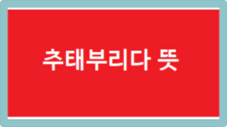 추태부리다 뜻