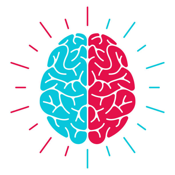 좌뇌와-우뇌-그림