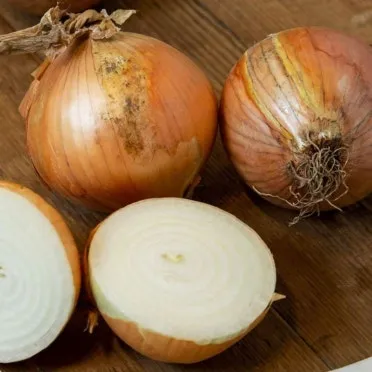 양파 보관법 양파 오래 보관법 3가지 방법_20