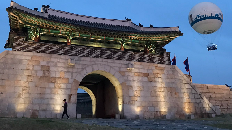 [서울 근교] 5월 철쭉, 유채꽃과 함께하는 수원화성❘열기구 예약 방법, 명성돼지갈비 맛집 정보