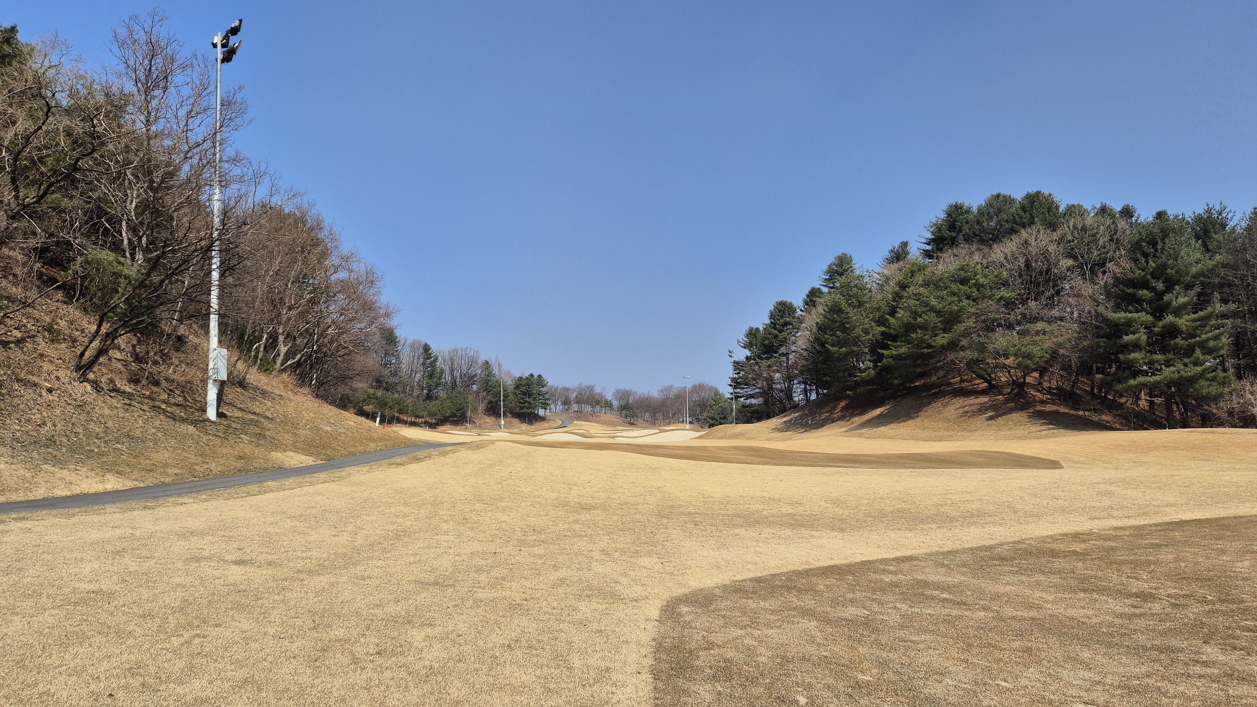 아난티코드gc 잣나무-느티나무 코스 사진 및 공략 정보