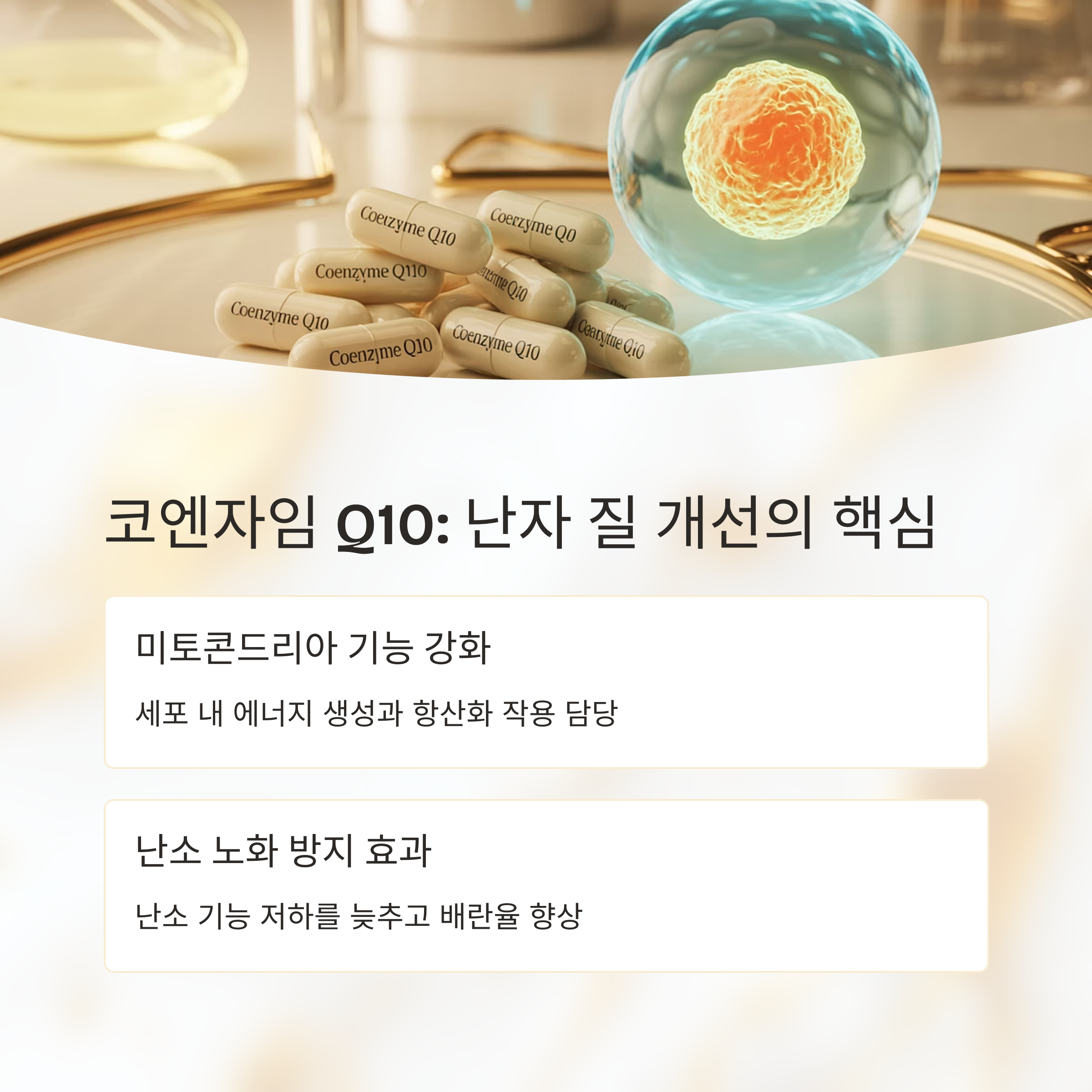 &quot;Coenzyme Q10&quot;이라고 적힌 여러 캡슐과 세포 형태의 일러스트가 함께 놓여 있다.