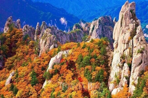 출처 구글이미지 설악산 단풍